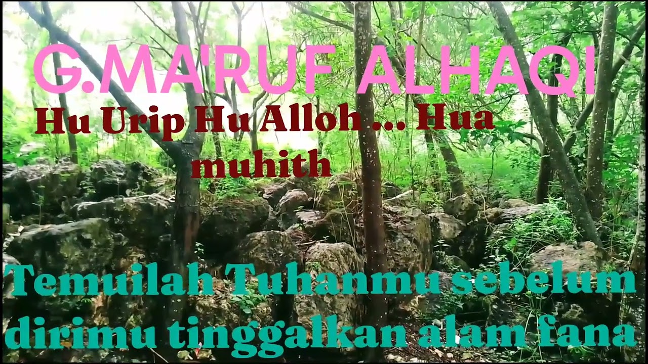 Liqo Alloh
