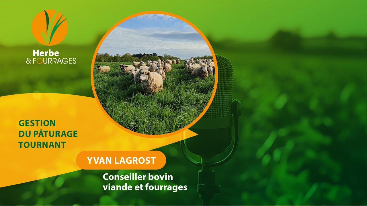 Épisode 1 - Gestion du pâturage tournant
