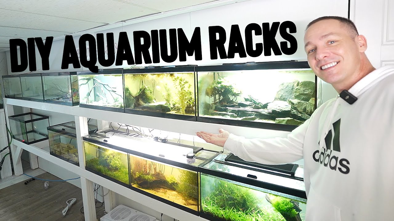 HOW TO build aquarium racks for fish tanks  -2 types  -  the king of DIY