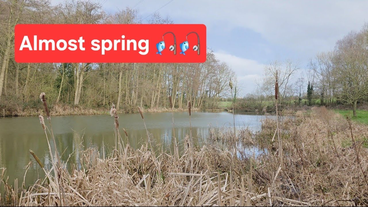 FEEDER FISHING. Spring is in the air 🎣