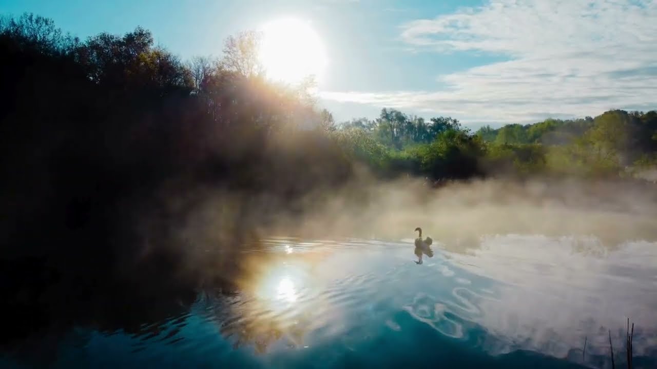 Graferix – Forest of Echoes (Celtic - Relaxing Choir & Flute)