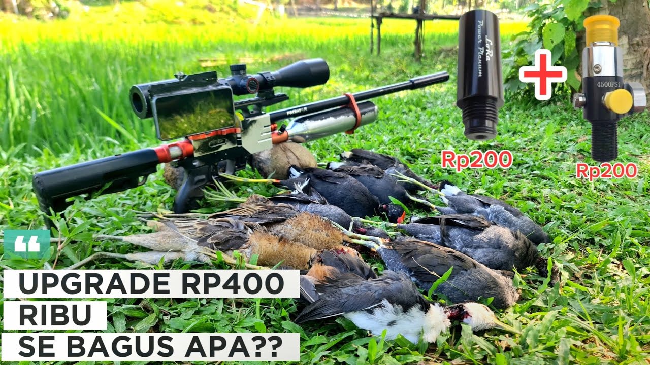SELESAI UPGRADE LANGSUNG KITA BAWA HUNTING‼️
