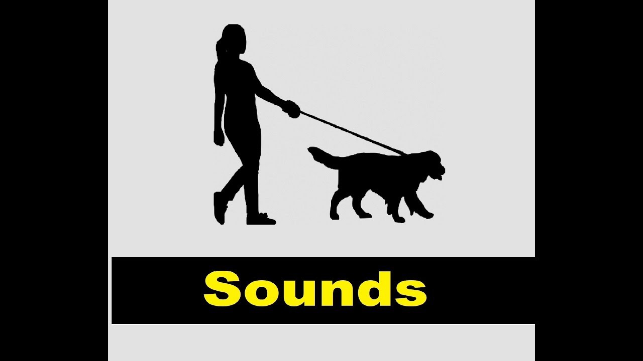 Dog Walking Sound Effects All Sounds