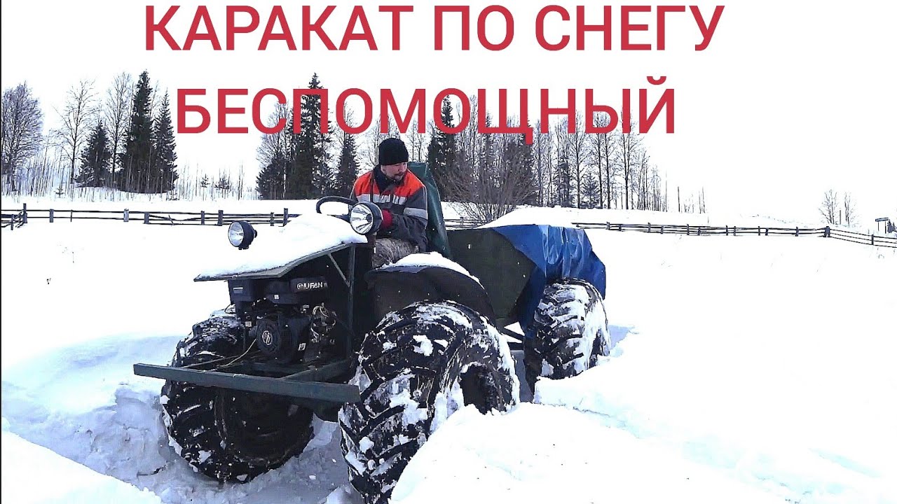 Каракат ОХОТНИК по снегу НЕ идёт.