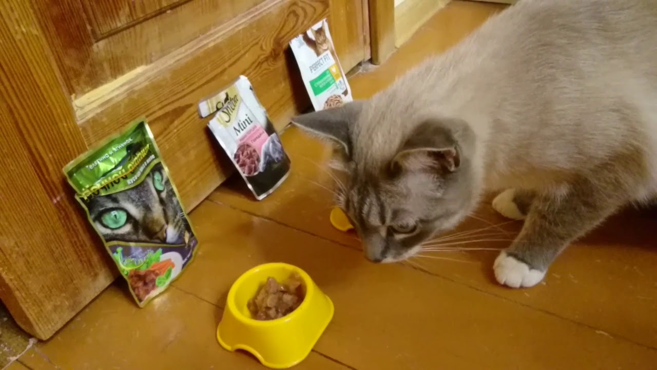 Самое вкусное. Выбираю сама: SHEBA vs Ночной охотник vs PERFECT FIT.
