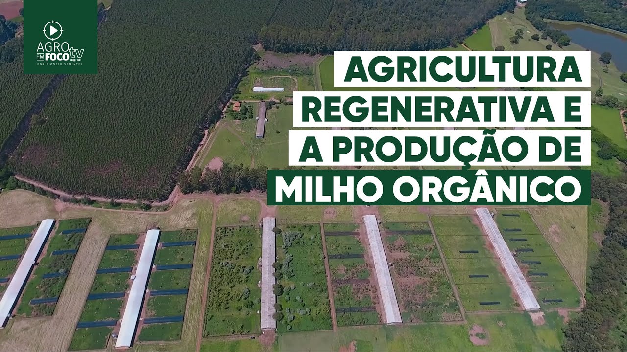 Agricultura regenerativa: produção de milho orgânico em SP - Programa #59 - Agro Em Foco TV Digital
