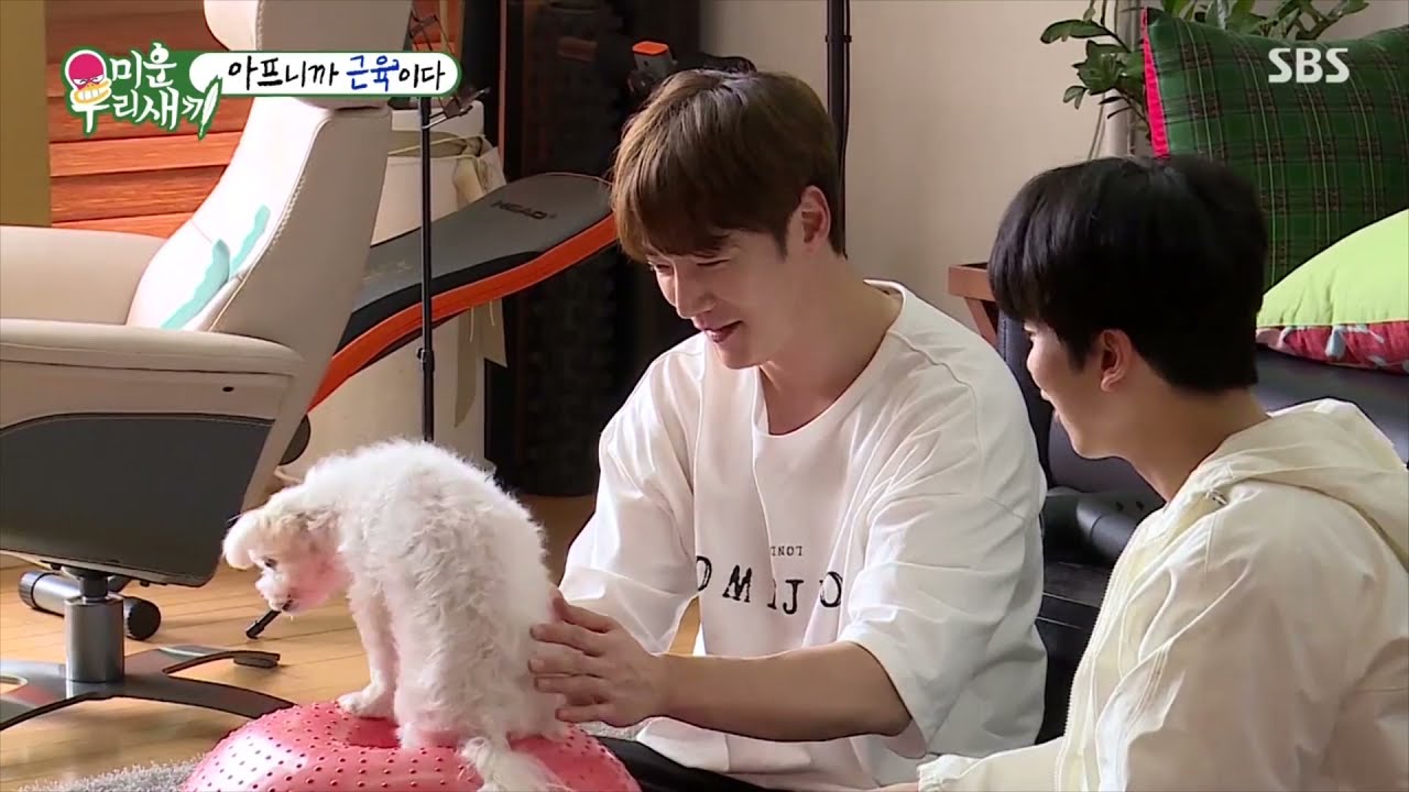 최진혁 강아지 몽실이 미우새 팬뮤비