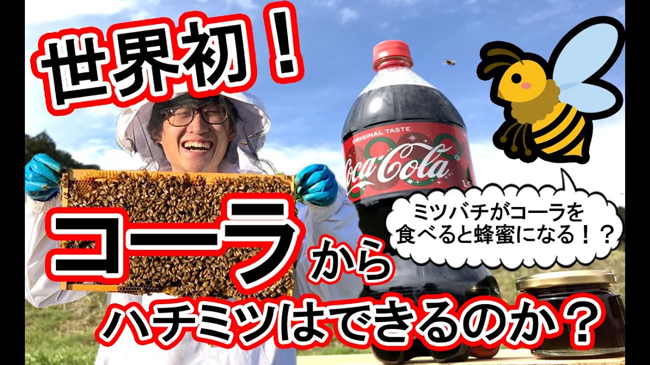 【実験】コーラとミツバチを使ってハチミツを作ってみた！！結果がやばいww