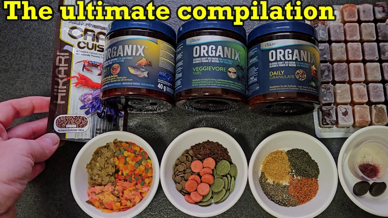 Aquarium fish food, you can't IGNORE and will get your fish ADDICTED!