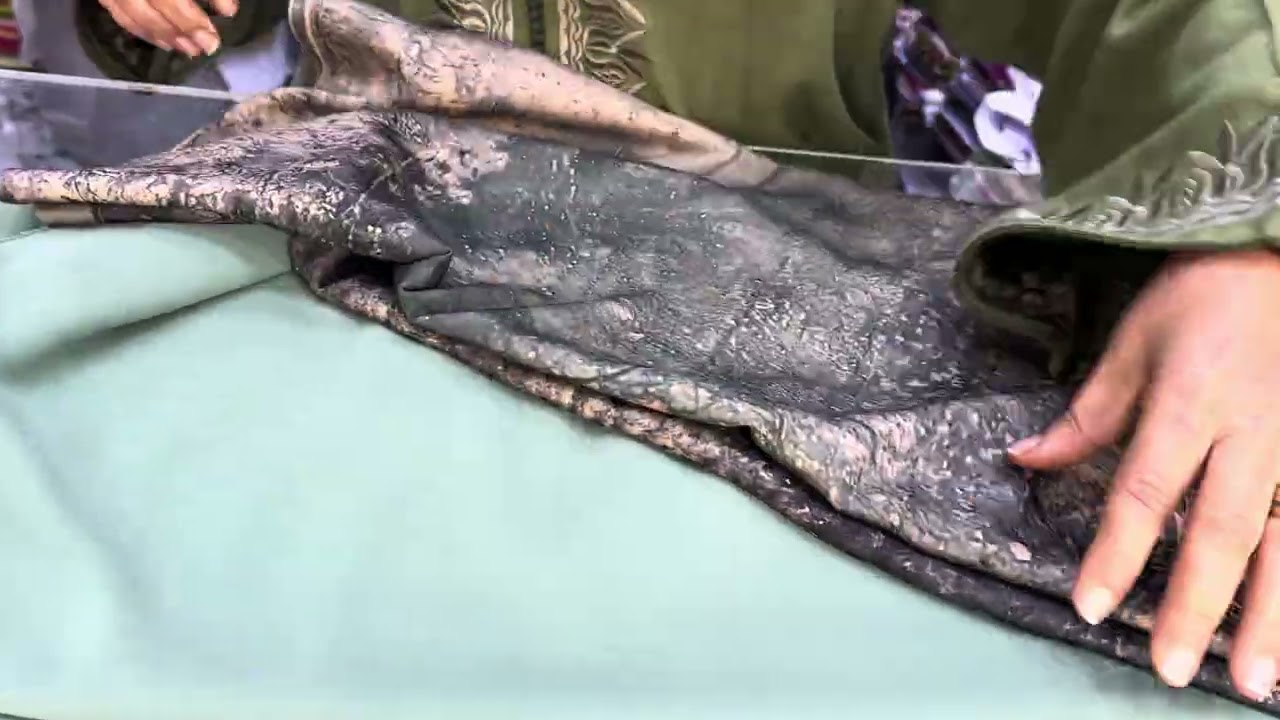 دخلوا تشوفوا ⛔️جديد 💣 جلابة دوبياس لي كولشي كيقلب عليها 