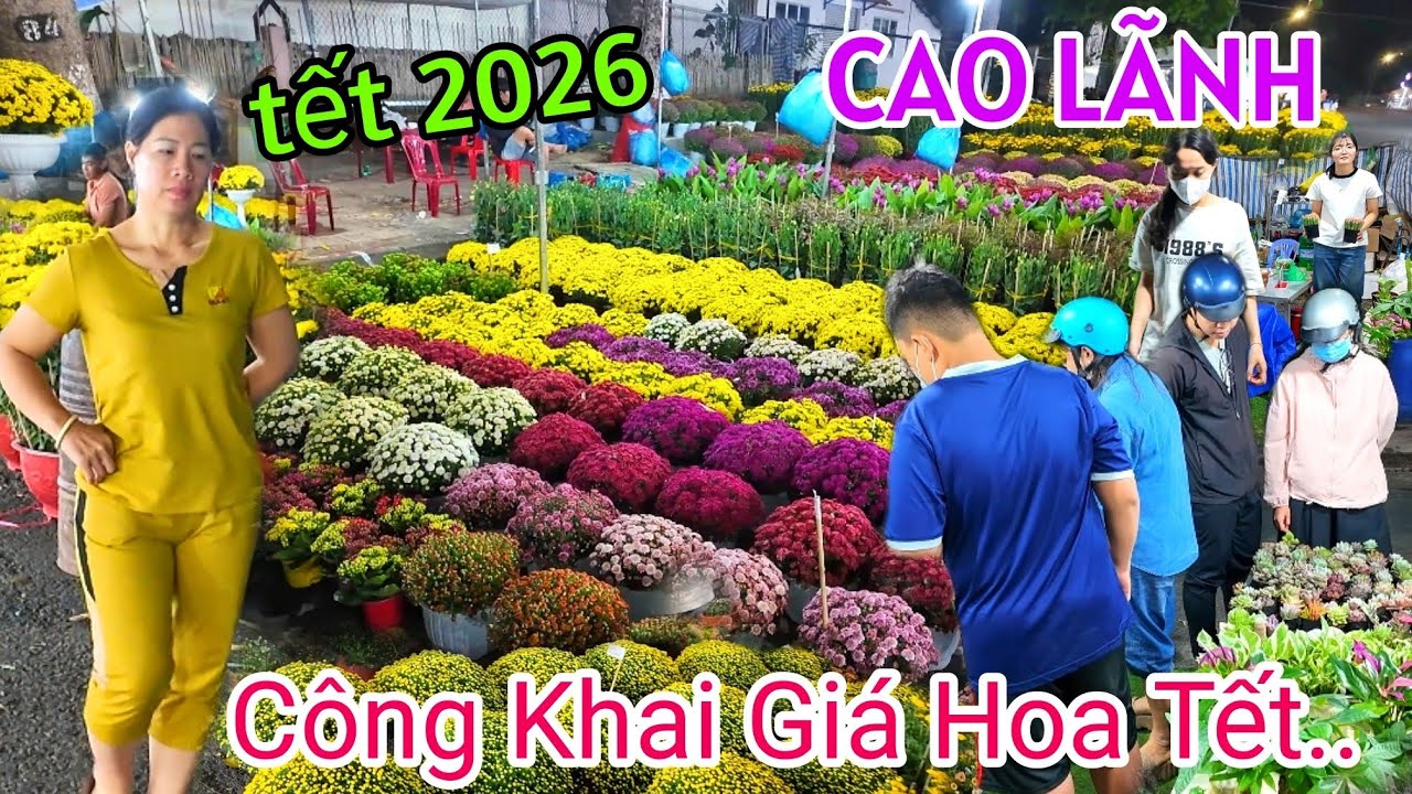 CÔNG KHAI GIÁ HOA KIỂNG TẾT CHỢ HOA XUÂN CAO LÃNH 2026 CHÍNH THỨC BÙNG NỔ TRĂM HOA KHOE SẮC