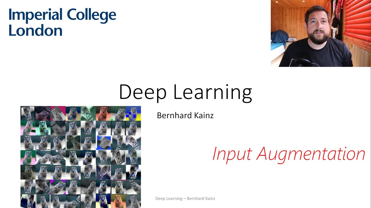 14 Imperial's Deep learning course: Input Augmentation