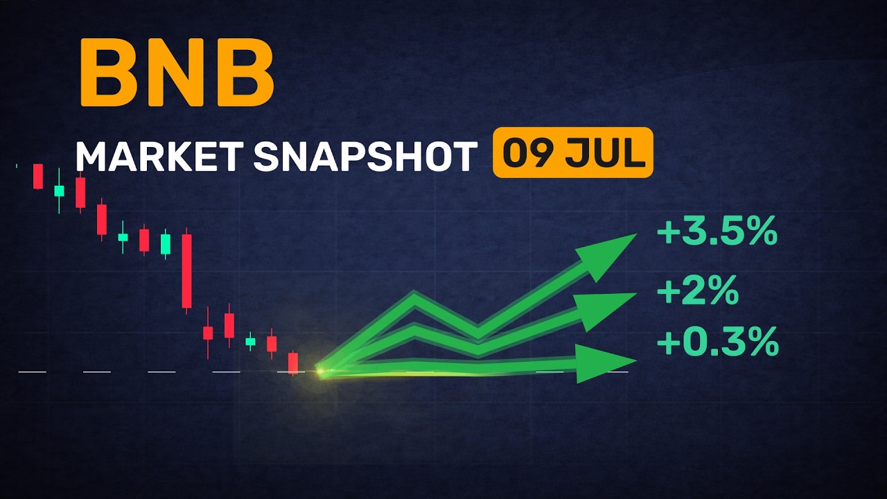 Next 24h for BNB: chance to profit or time to wait?