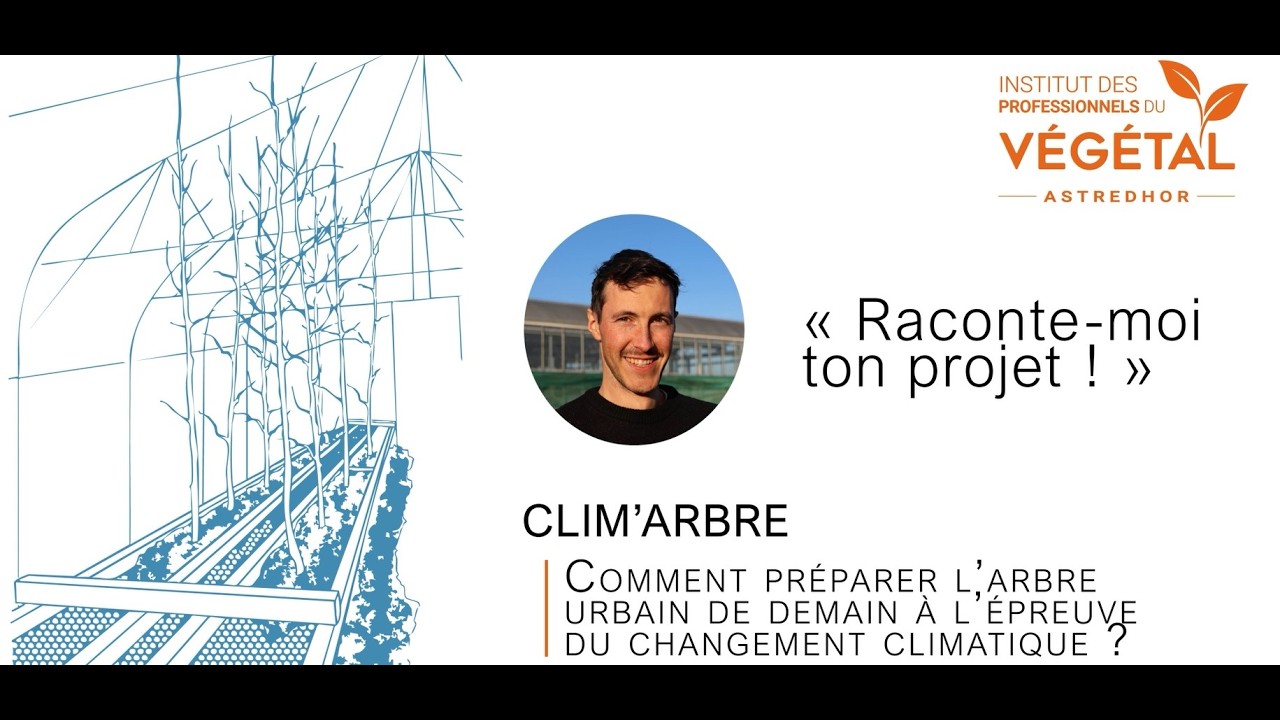 CLIM'ARBRE ou comment préparer l'arbre urbain de demain
