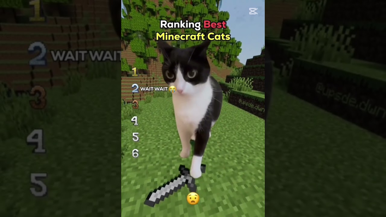 Best minecraft memes of 2026! 