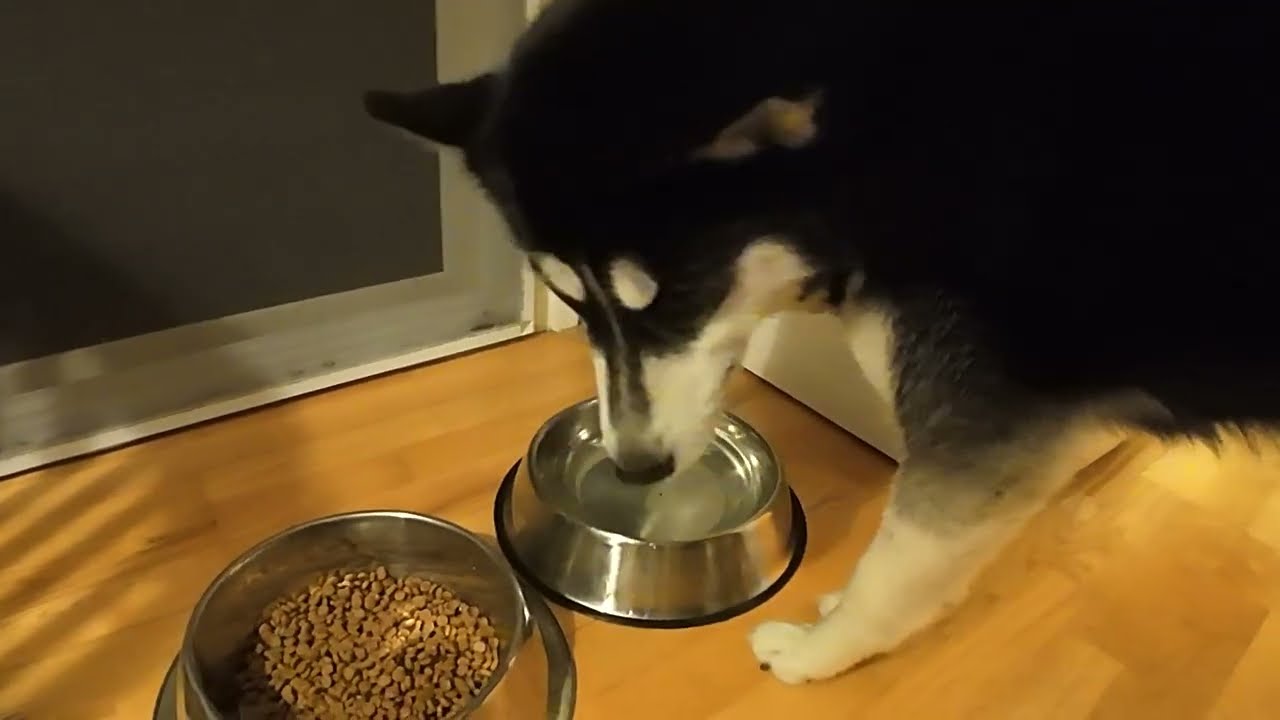 I know what you are up to!!