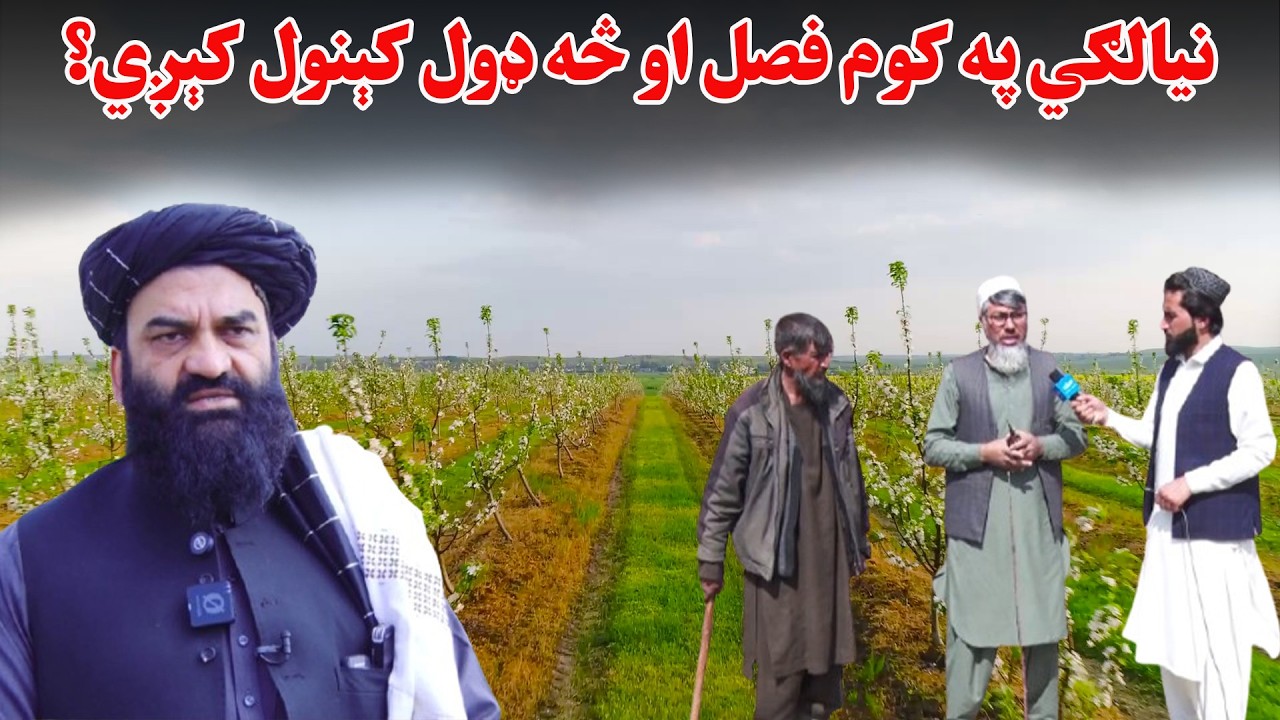 کرنه او مالداري؛ میوه لرونکي او غیرې میوه لرونکي نیالګي په کوم فصل او څه ډول کېنول کېږي؟