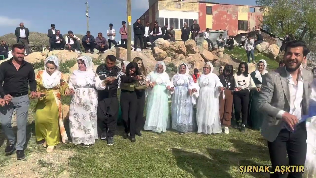SELİM ERTAK DÜĞÜNÜ  KOMA NESRİN #şirnakdüğünleri #dawet #uludere #dawetakurda #shortvideo