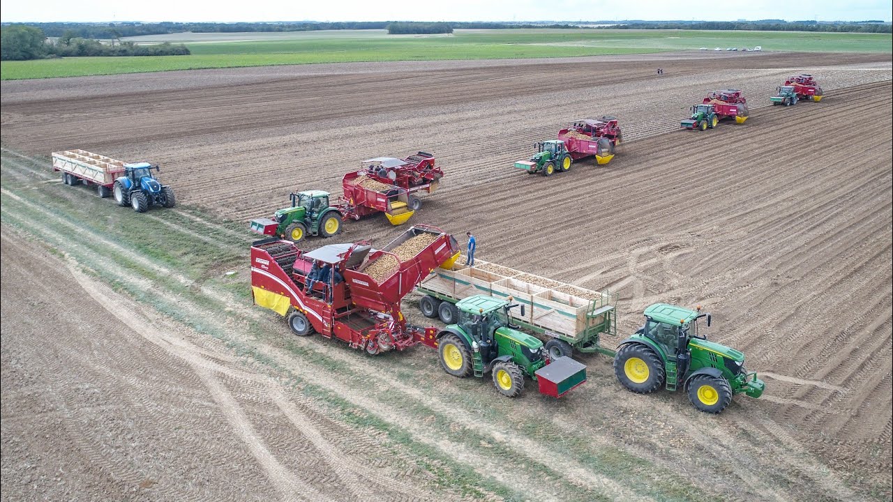 Arrachage de pomme de terre en Beauce avec 5 arracheuses GRIMME | Les hectares tombent !!