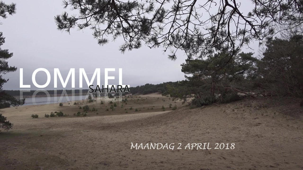 180402 MTB LOMMEL SAHARA