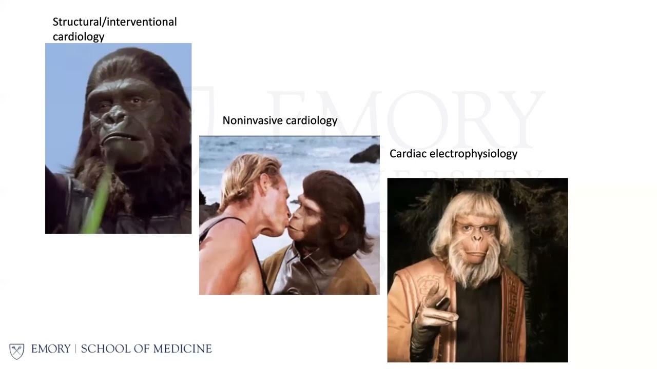 Tetralogy of Fallot: From Infancy to Adulthood