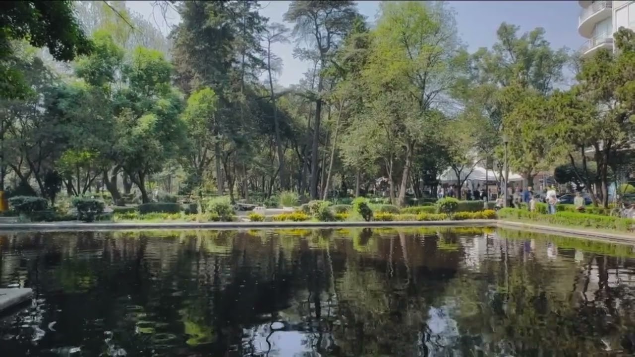Quiet Park Afternoon RelaxLofi