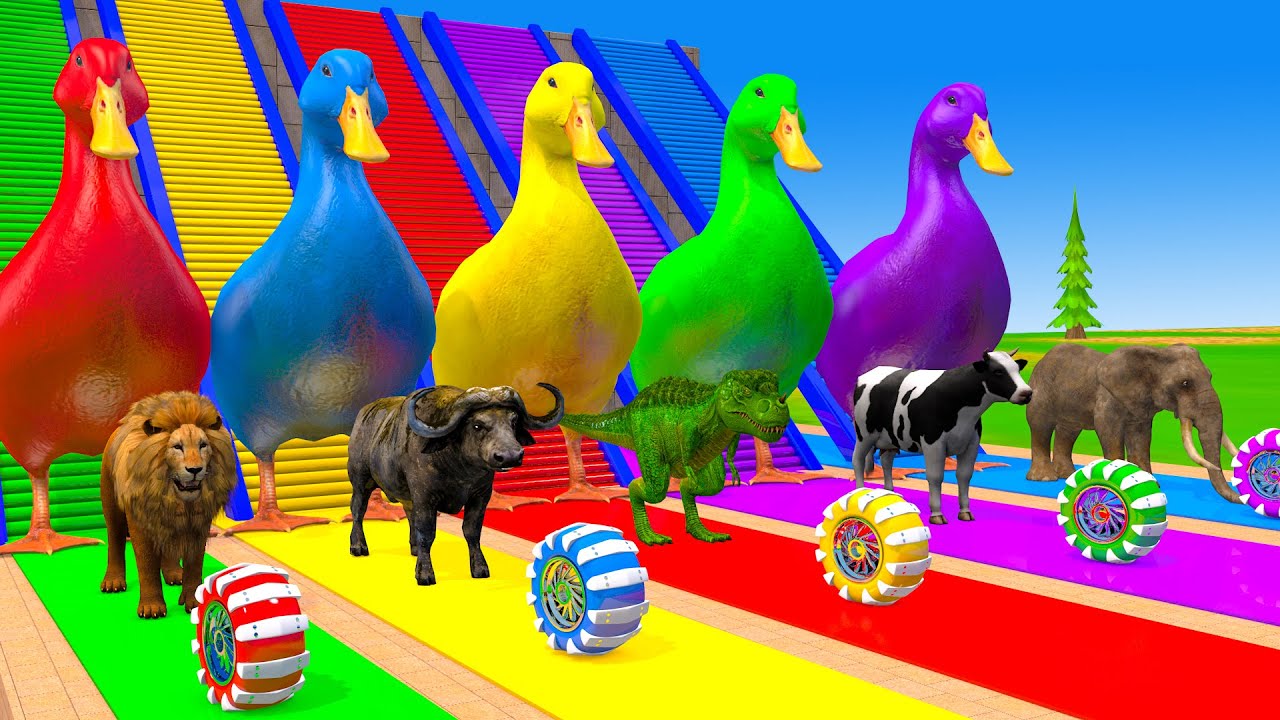 Long Slide Game With Cow Elephant Gorilla Hippopotamus Tiger 3d Animal Game Funny 3d Animals