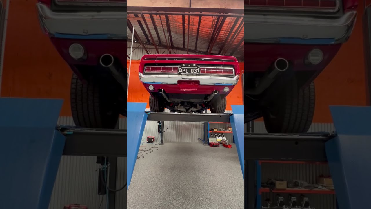 DPC-031 1969 Mustang Fastback Genuine Shelby GT350 / Under Car