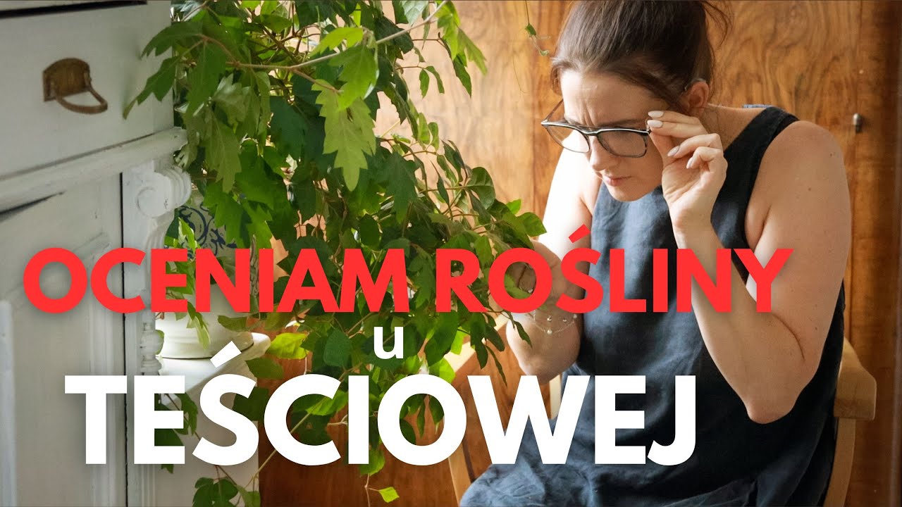 Plant Doctor Ania 🌱 - czy to dobry pomysł?? Pierwsza domowa wizyta 🙅‍♀️🫡🌴💪