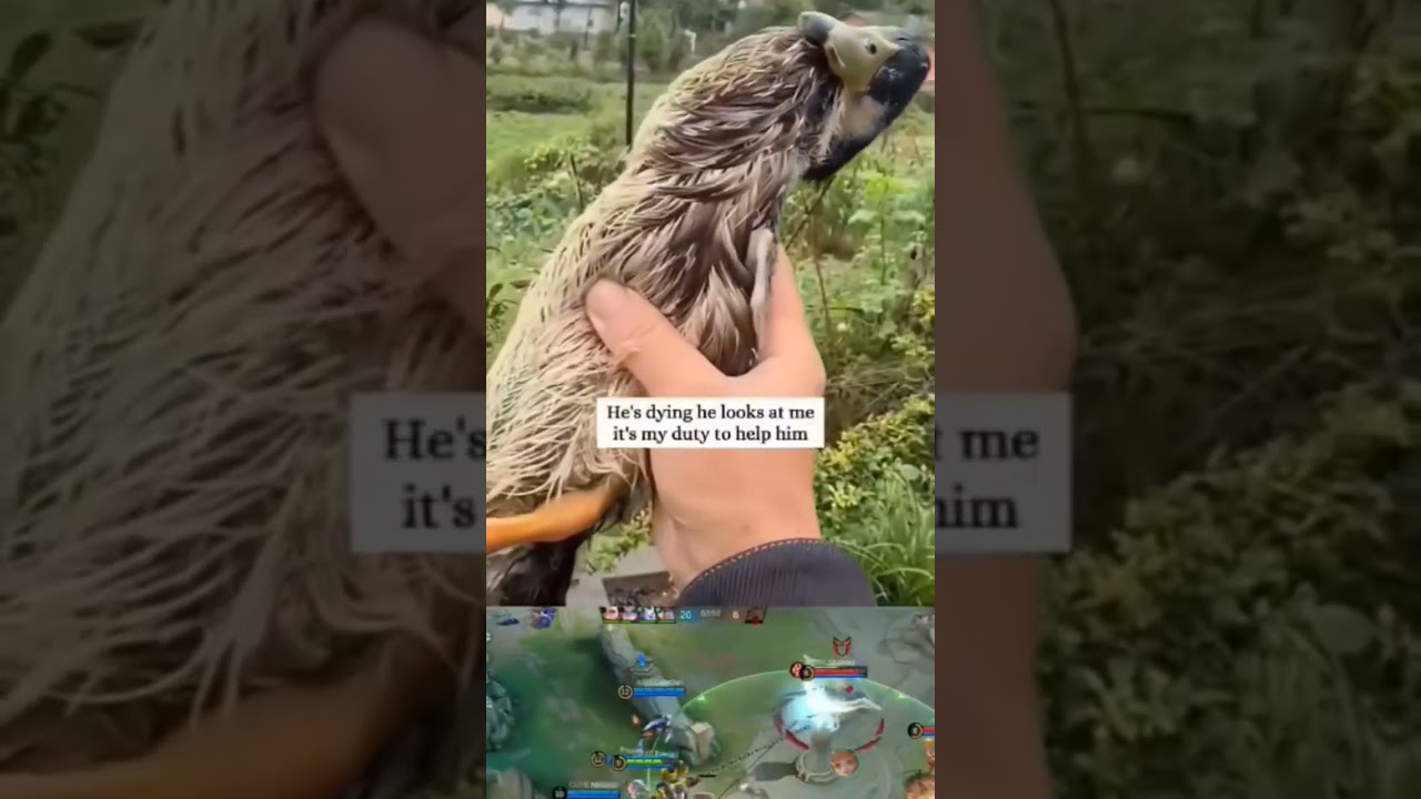 LoL video 😂 fanny #lolvideo #viral #reel #T-Series#mrbeast