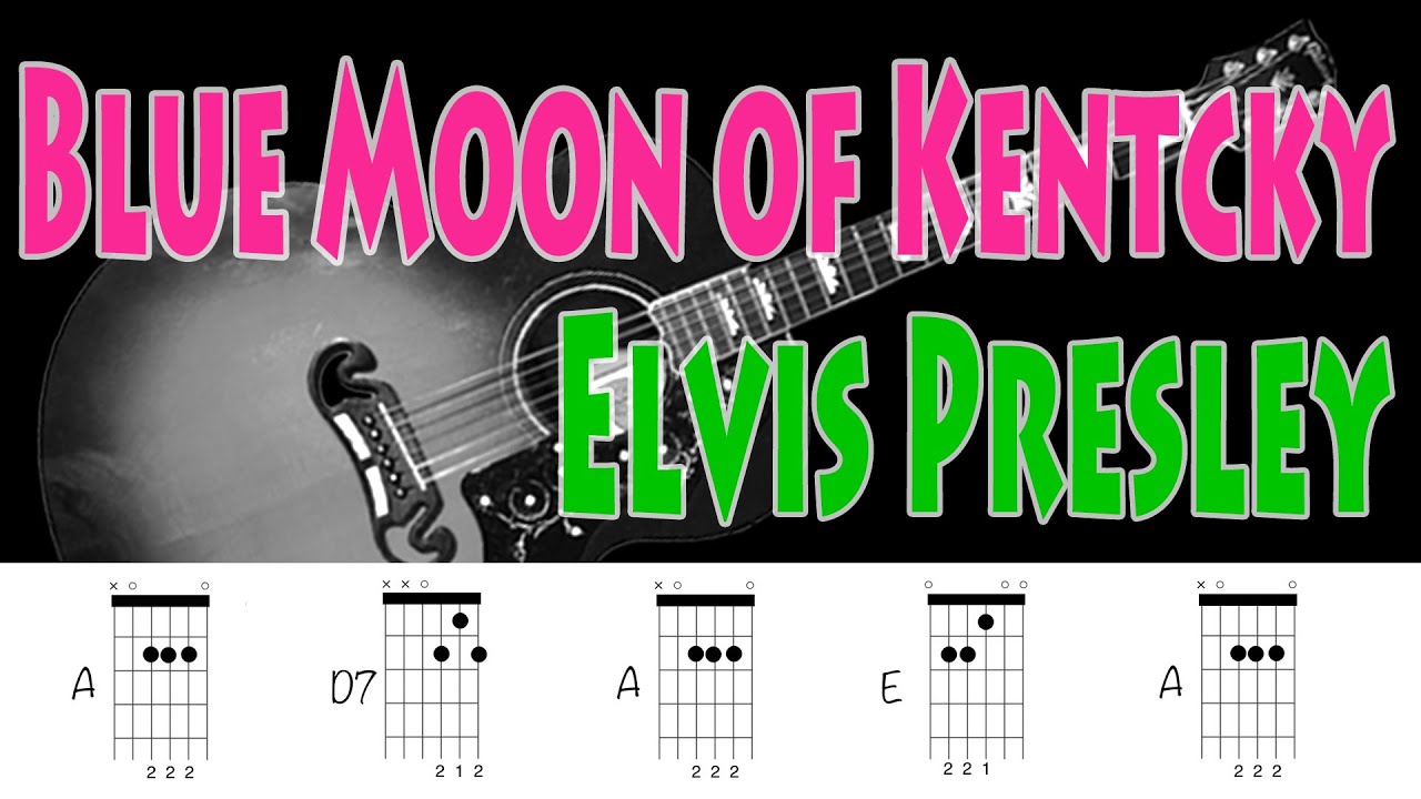 Blue Moon of Kentcky Elvis Presley  Guitar Chords
