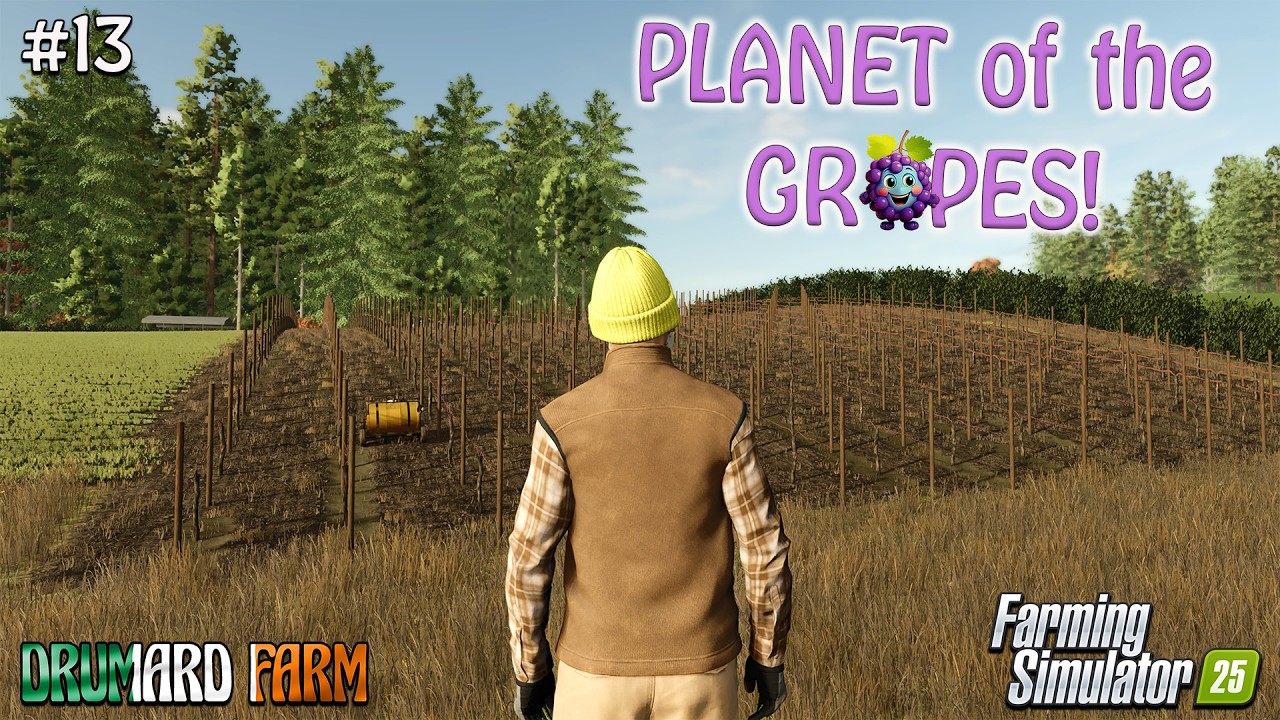 DRUMARD FARM! #13 (MORE VINEYARD or LESS SPACE?!) FARMING SIMULATOR 25 GAMEPLAY