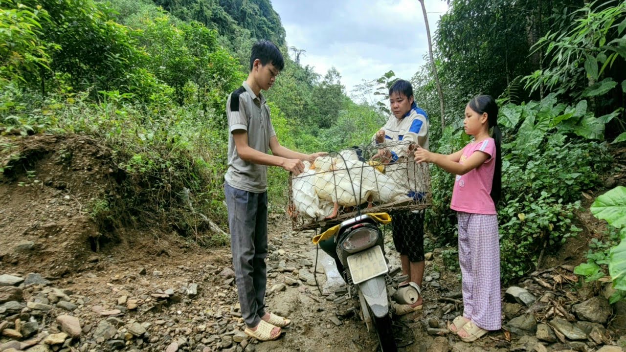 Two orphans decided to sell all their ducks. Luckily, Uncle Nhu helped.