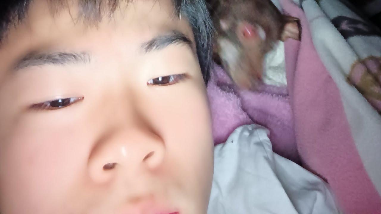 テストの範囲表見間違えて泡