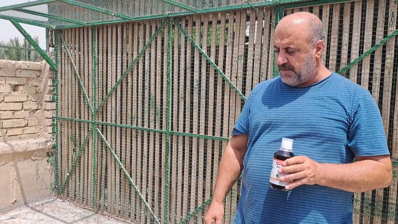 الفائدة.   فونجي. اعشاب.  يوميات. المزرعة. السيد. عدنان ابو علي. بابل المسيب ٠٧٧١٣٣٥٣١٣٤