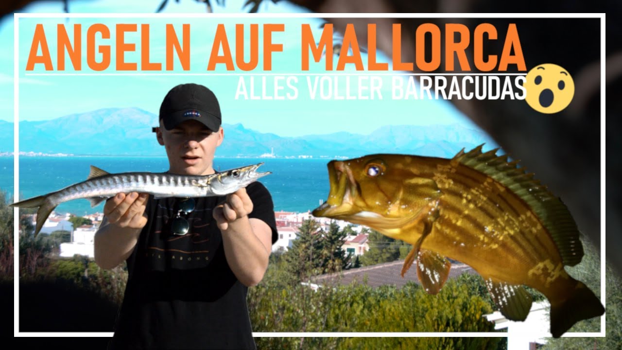 Angeln auf Mallorca | Wolfsbarsch PB an Silvester | Barracudas im Fressrausch