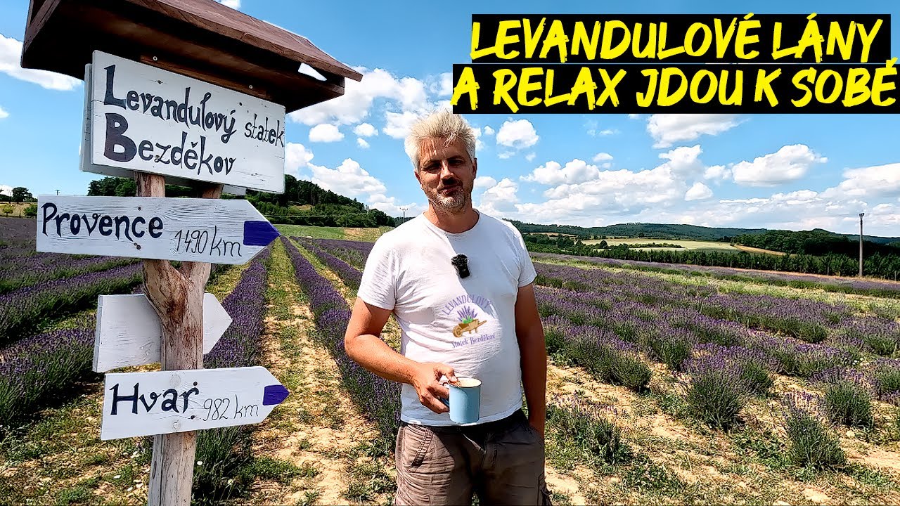 LEVANDULOVÝ STATEK BEZDĚKOV | NEJLEPŠÍ místo k odpočinku | Do 5 let chci mít 100 000 sazenic