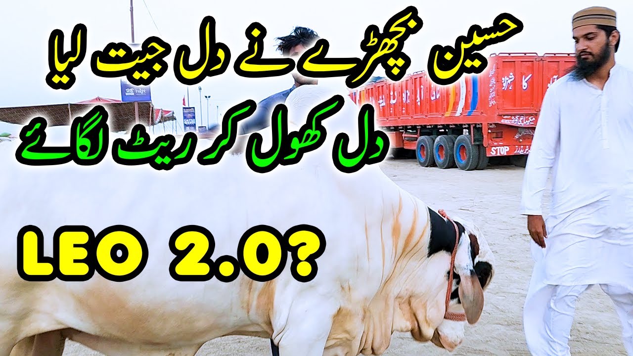Hum Phanste Phanste Bach Gae 😂 Northern Bypass Cow Mandi Price & Bargaining | Cattle Market Karachi