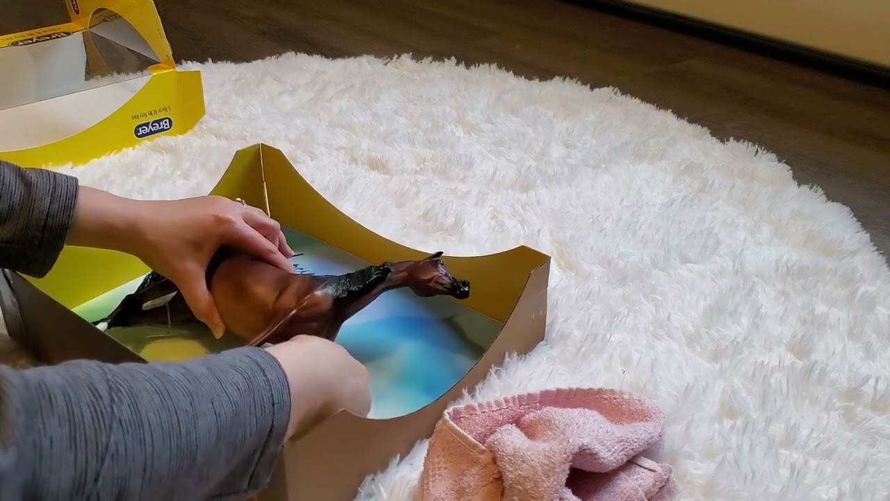 Live NIB Breyer 