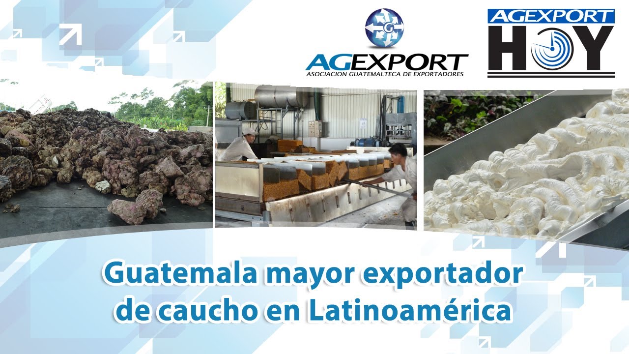 Guatemala mayor exportador de caucho en Latinoamérica
