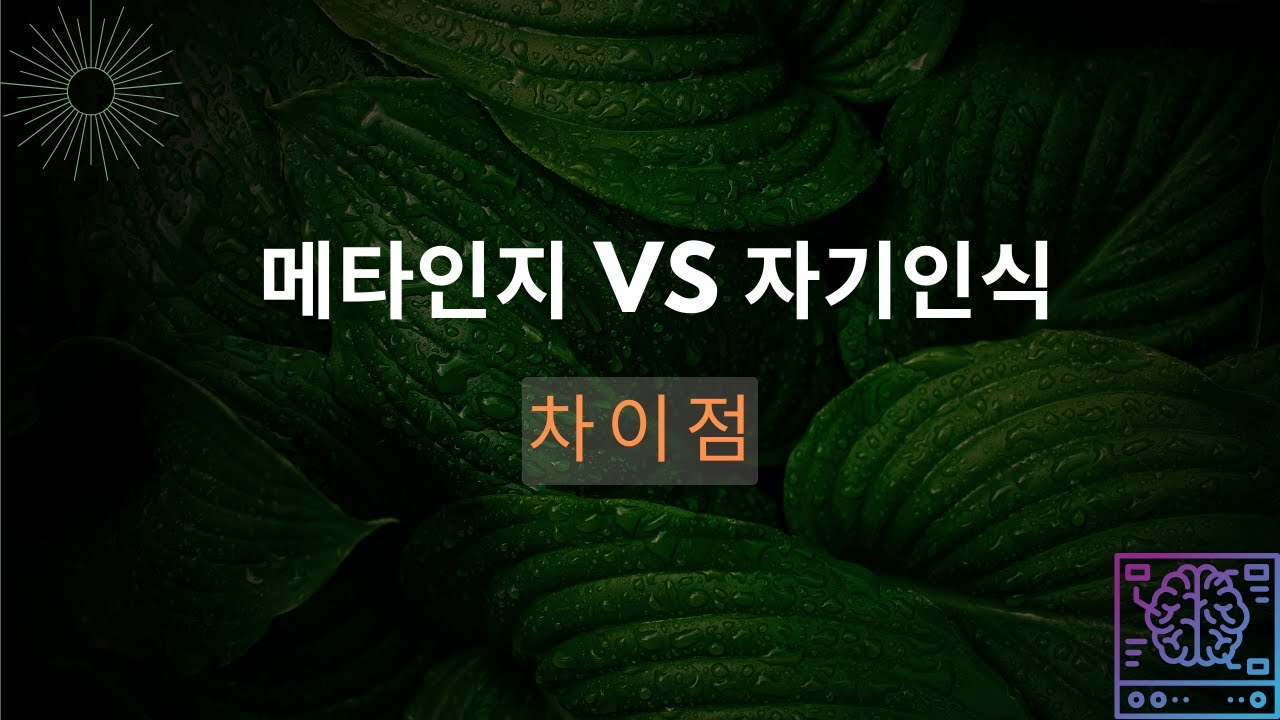 메타인지와 자기인식의 정의 I 차이점 I 용어비교