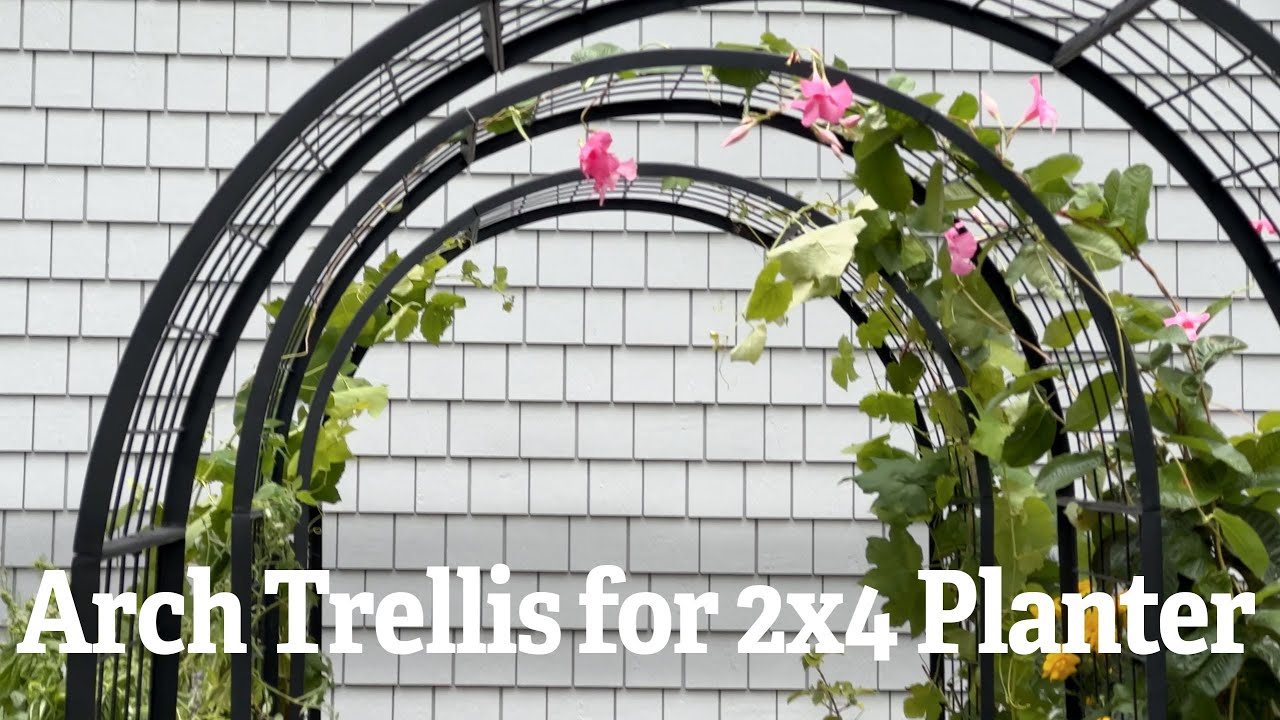 Arch Trellis for 2x4 Planter
