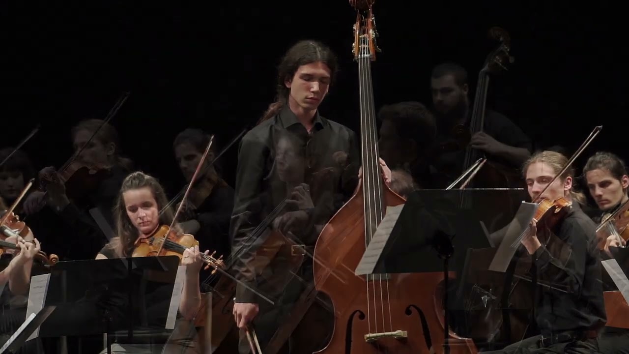 Pichl - 1. koncert za kontrabas i orkestar u D-duru - Matija Bojko