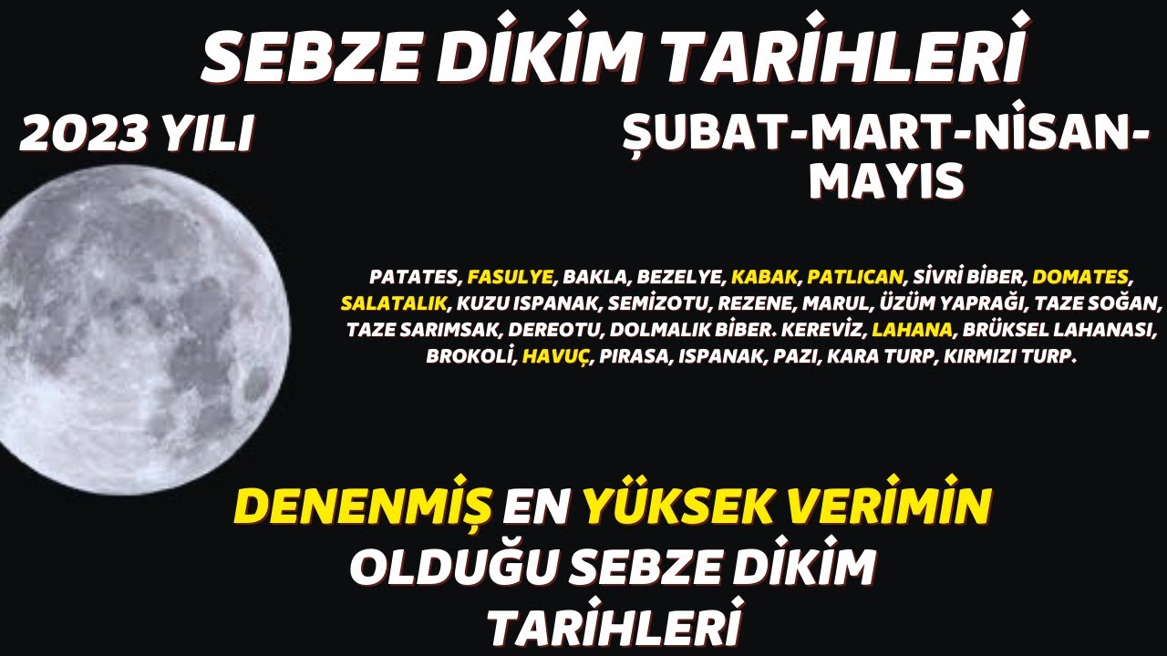 bu tarihleri kaçırmayın I ay takvimine göre en verimli sebze dikim zamanları 2023 yılı