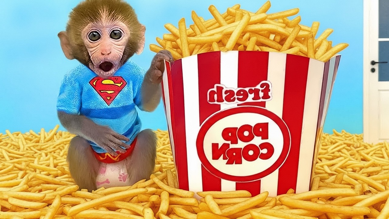 Macaquinho GoGo recebe presentes misteriosos e ganha uma festa surpresa | Gogo Family