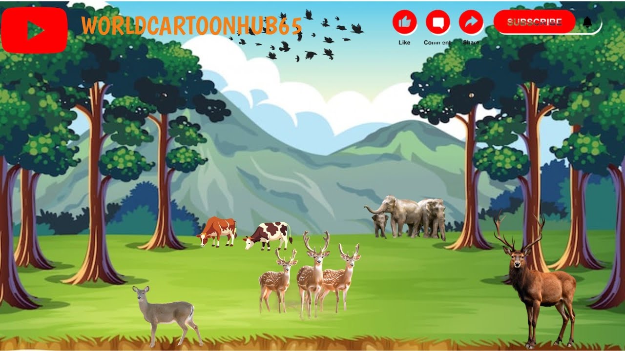#Adventure#teamwork#forest#animal#friendship 