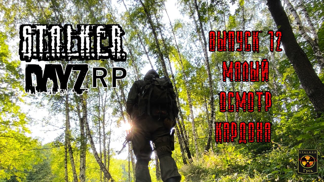 S.T.A.L.K.E.R. DayZ RP. (Выпуск 12  Малый осмотр кордона)