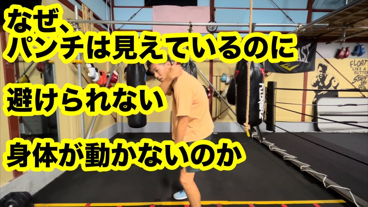 パンチは見えているのに、なぜ避けられないのか