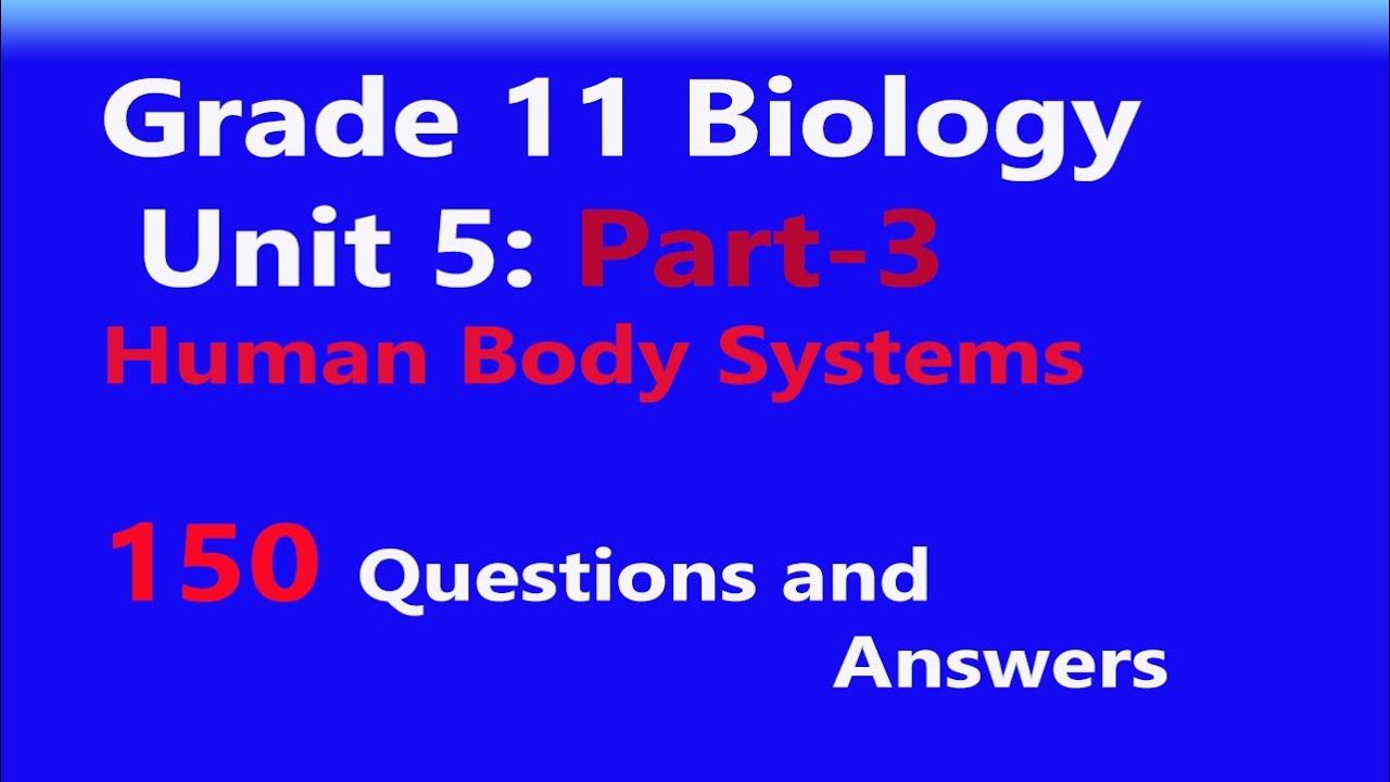 Grade 11 Biology Unit 5 part 3 Human Body Systems Questions and Answers