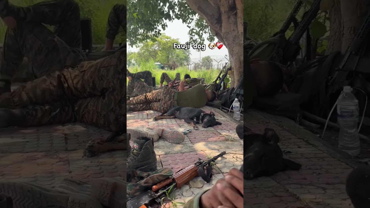 motivational video for joining Indian Army #faujilyfstyle #indianmilitary #love #ytshortsindia #army